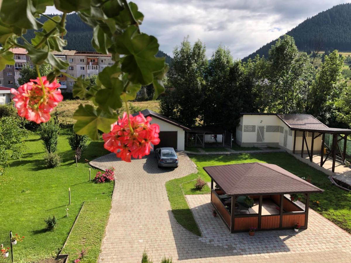 Villa Coca Campulung Moldovenesc Exterior photo